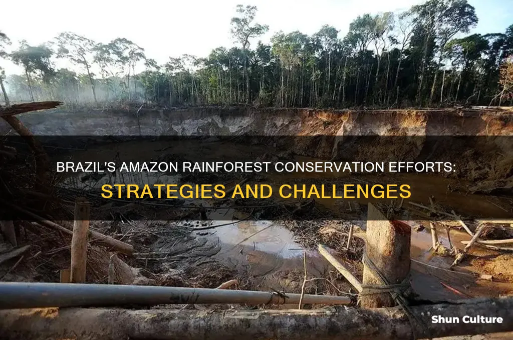 what is brazil doing to protect the amazon rainforest