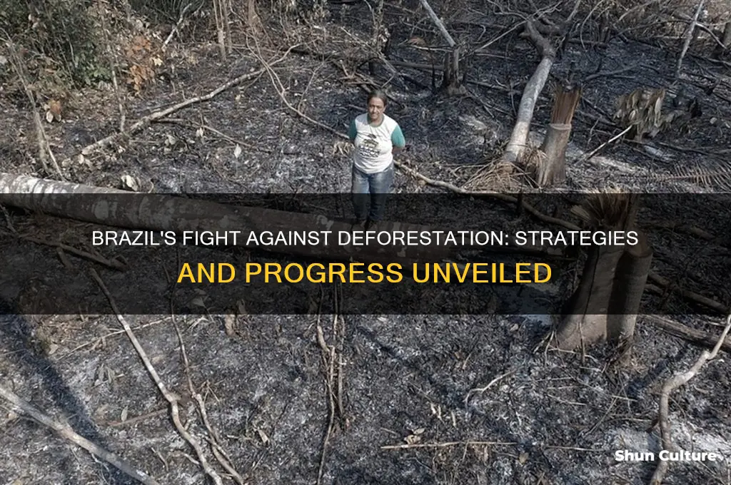 what is brazil doing to stop deforestation
