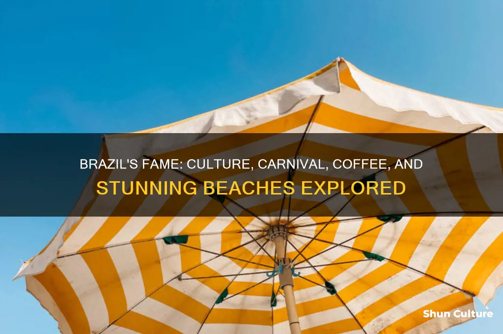 what is brazil know for