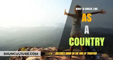 Exploring Brazil: Culture, Landscapes, and Vibrant Life in South America