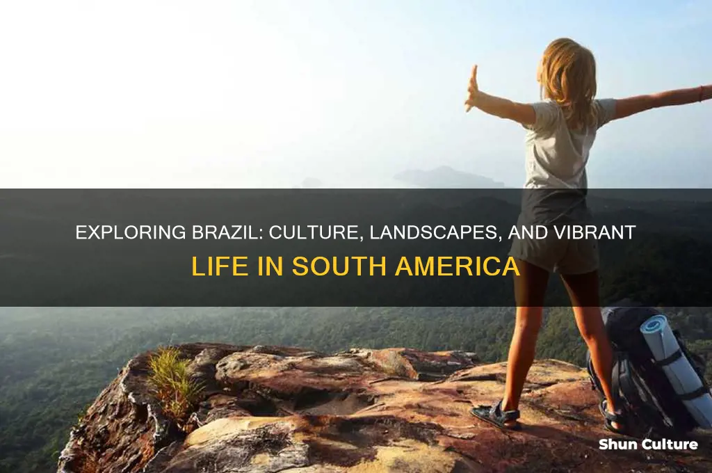 what is brazil like as a country