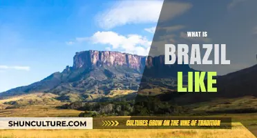 Exploring Brazil: Culture, Landscapes, and Vibrant Life Unveiled
