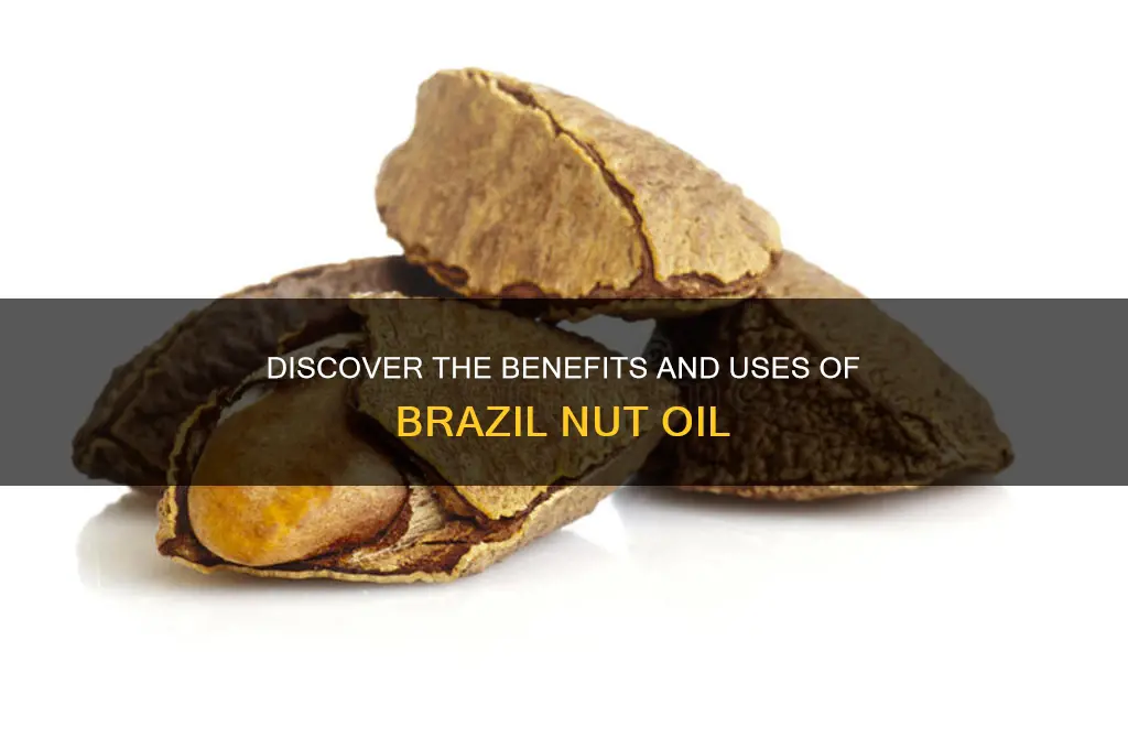 what is brazil nut oil