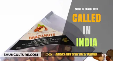 Brazil Nuts in India: Local Names and Culinary Uses Explained