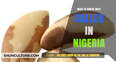 Discovering Brazil Nuts: Their Unique Name and Uses in Nigeria