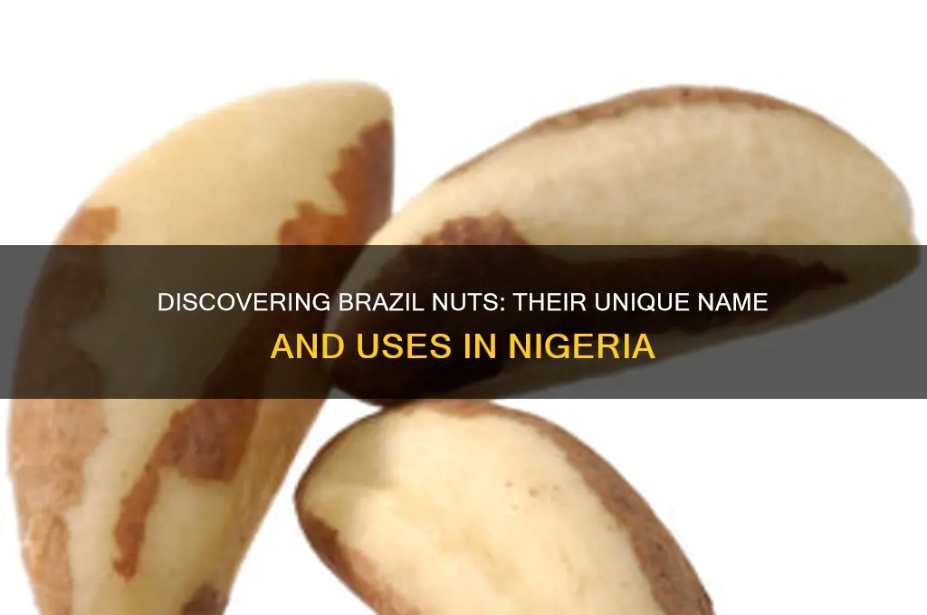 what is brazil nuts called in nigeria
