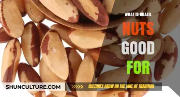 Brazil Nuts Benefits: Nutrition, Health Boosts, and Culinary Uses Explained