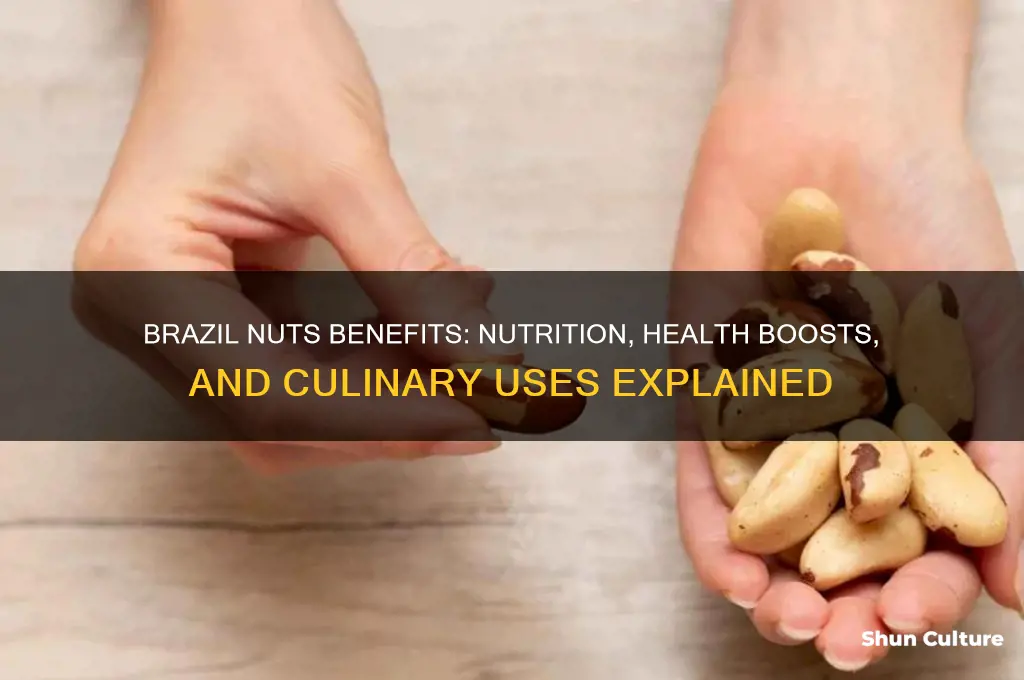 what is brazil nuts good for