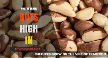 Brazil Nuts: Unlocking Their High Nutritional Value and Health Benefits