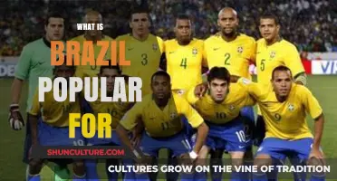 Brazil's Fame: From Carnival to Coffee, Beaches, and Football