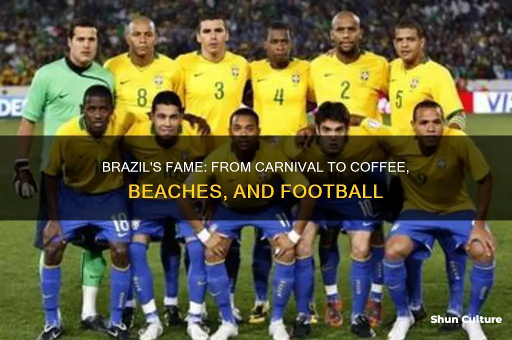 what is brazil popular for