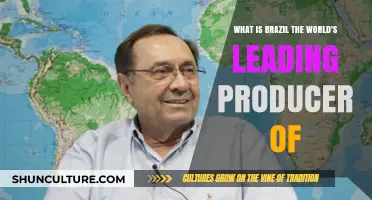 Brazil's Global Dominance: Leading Producer of Coffee, Sugar, and More
