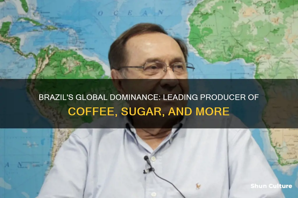 what is brazil the world