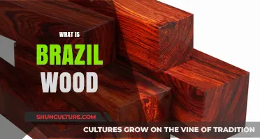 Discovering Brazil Wood: History, Uses, and Cultural Significance Explained