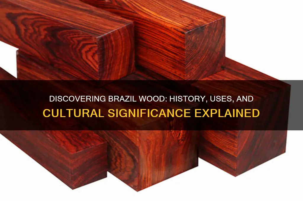 what is brazil wood