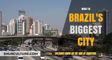 Exploring Brazil's Largest Urban Center: Unveiling the Biggest City