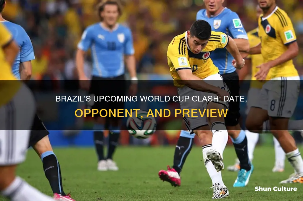 what is brazils next match world cup
