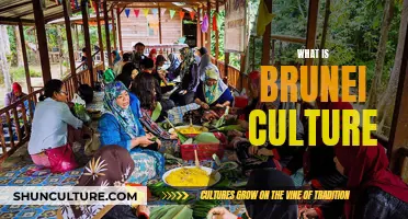 Brunei's Cultural Identity: A Rich and Unique Heritage