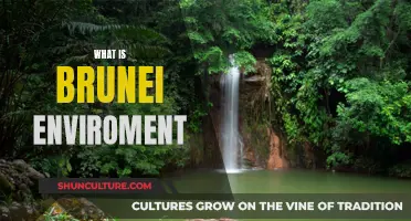 Brunei's Natural Environment: A Comprehensive Overview