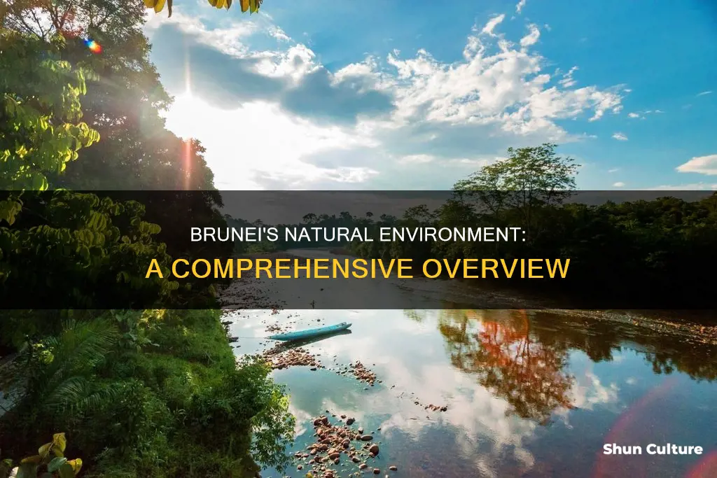 what is brunei enviroment