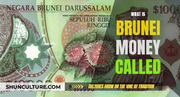 Brunei's Currency: What is it Called and Why?