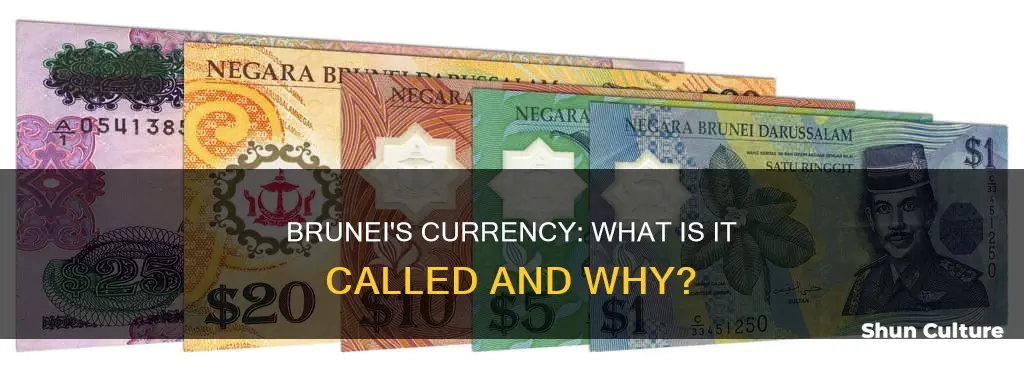 what is brunei money called