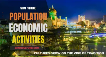 Brunei's Population: Economic Activities and Livelihoods