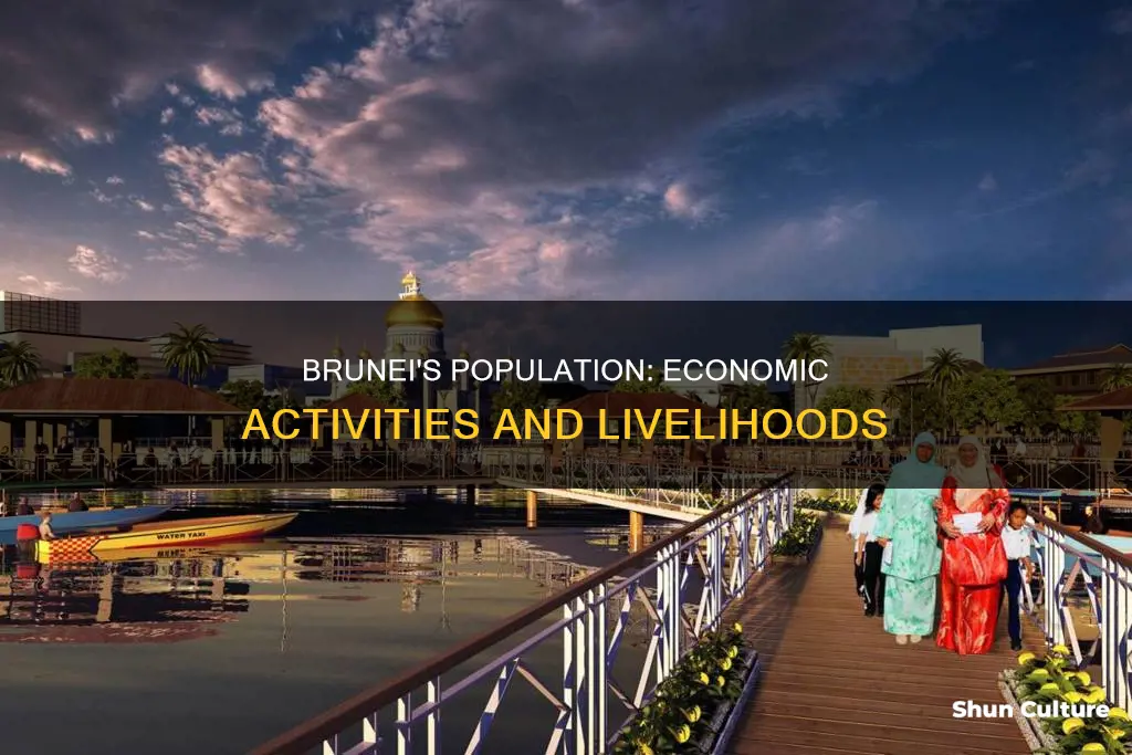 what is brunei population economic activities