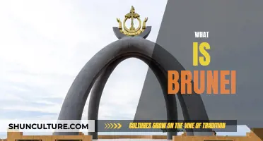 Brunei: A Country of Opulence and Mystery