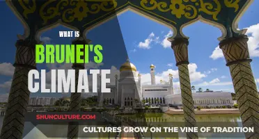 Brunei's Climate: Tropical Weather and Environmental Conditions