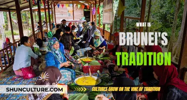 Brunei's Rich Cultural Heritage and Traditions Explored