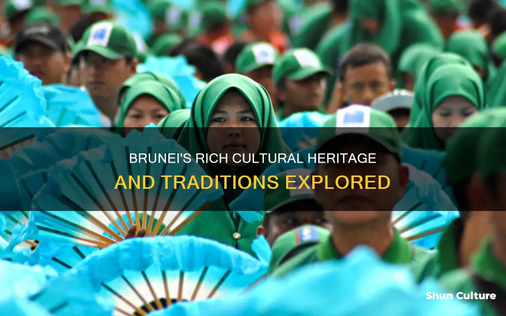 what is brunei