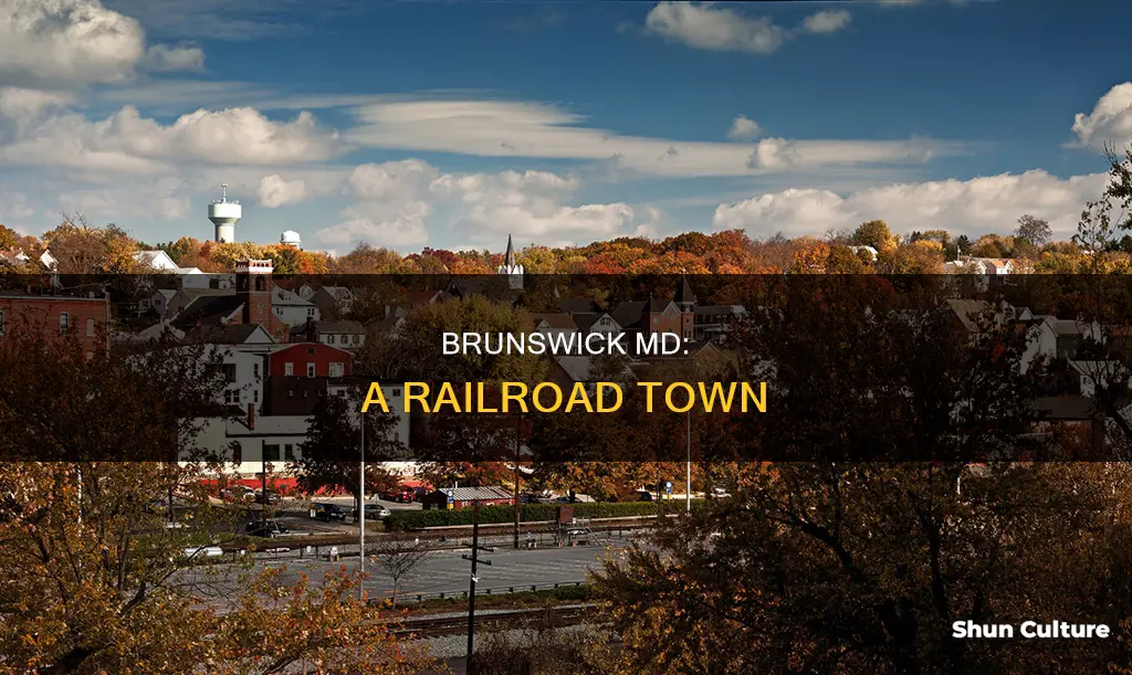 what is brunswick md famous for