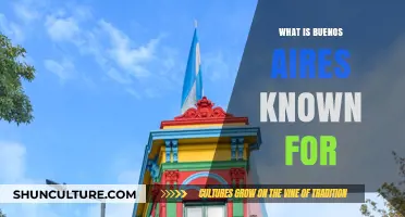 Exploring Buenos Aires: A City of Passion, Culture, and History