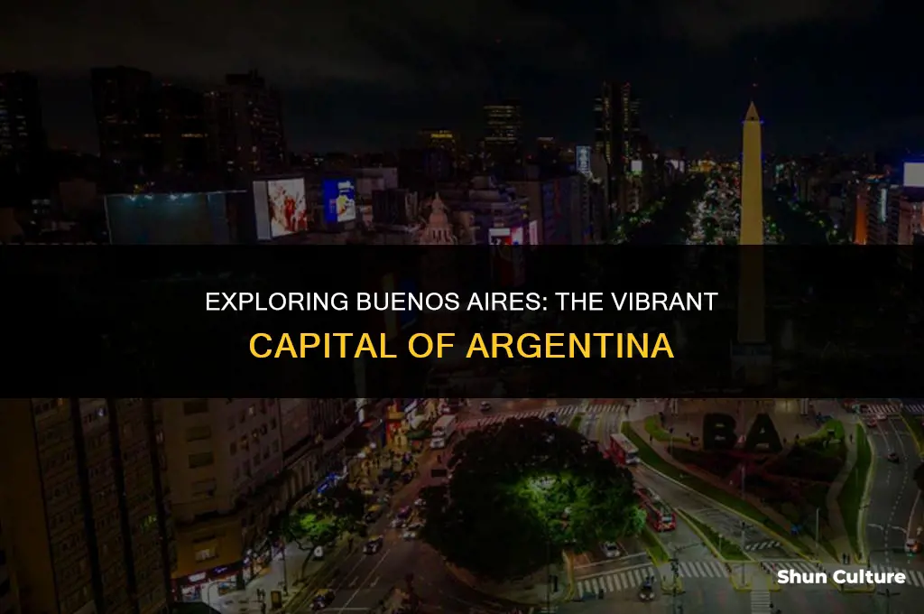 what is buenos aires the capital of