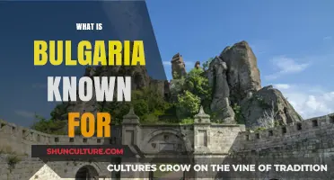 Discovering Bulgaria's Rich Heritage: A Journey Through Its Cultural Marvels
