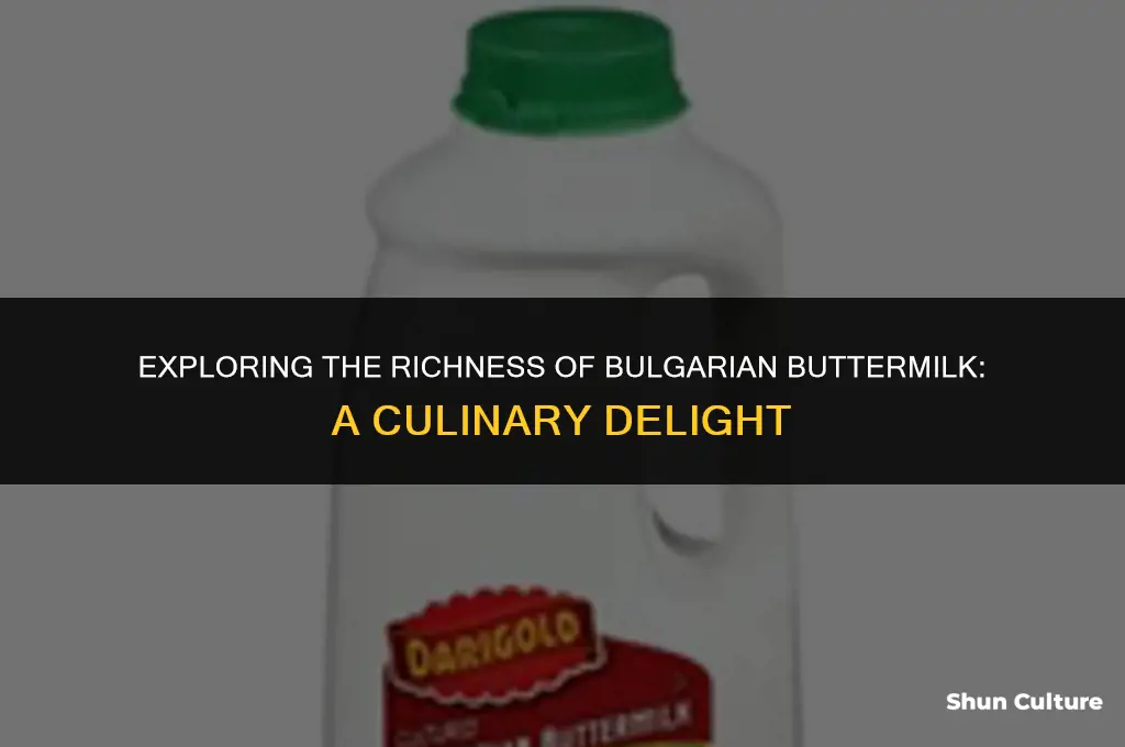 what is bulgarian buttermilk
