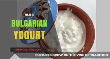 Exploring the Richness of Bulgarian Yogurt: A Cultural and Culinary Journey