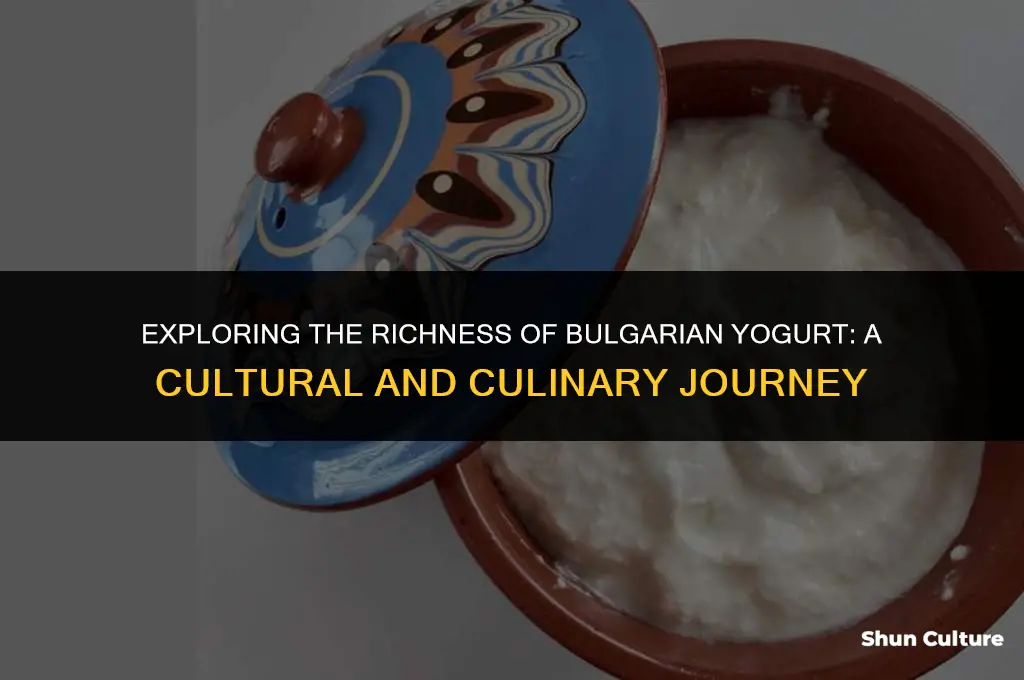 what is bulgarian yogurt