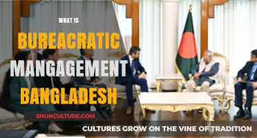 Understanding Bureaucratic Management in Bangladesh: Structure, Challenges, and Reforms