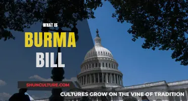 Unveiling the Burma Bill: A Comprehensive Guide to its Impact and History