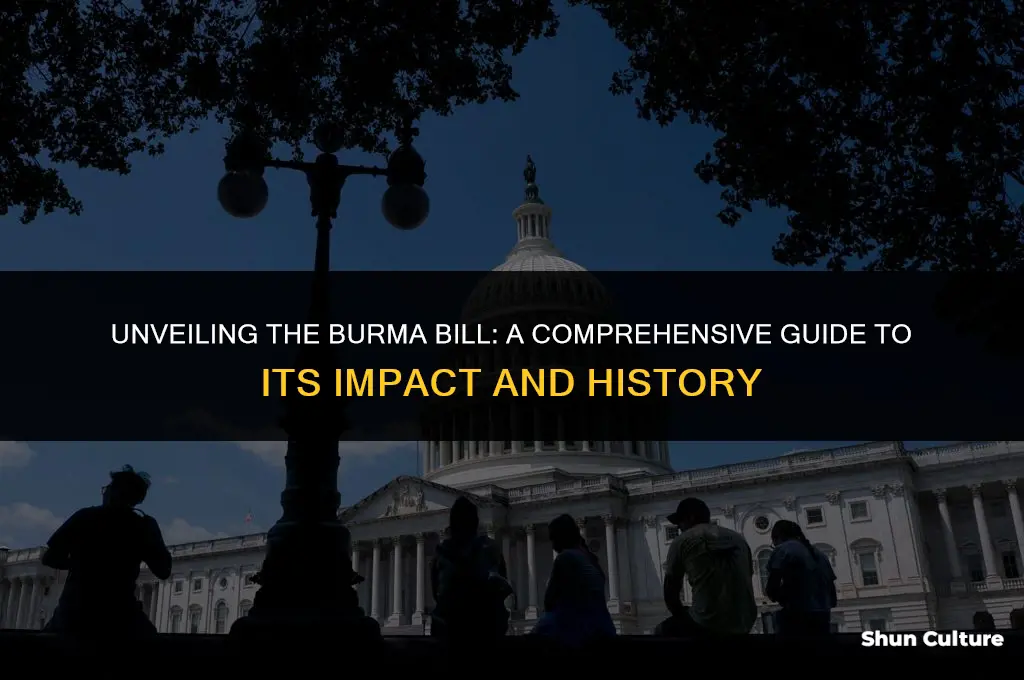 what is burma bill