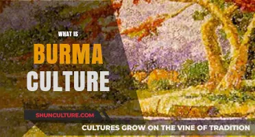 Exploring the Rich Tapestry of Burmese Culture: A Journey Through Tradition and Modernity