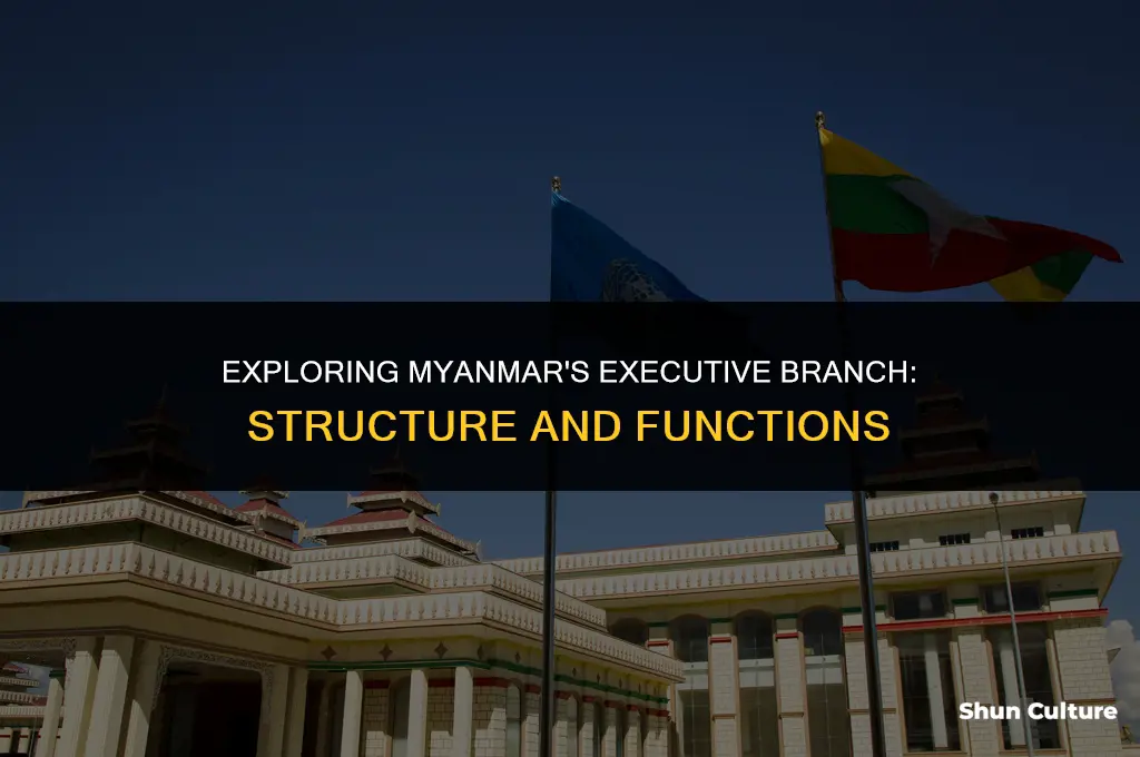 what is burma executive branch