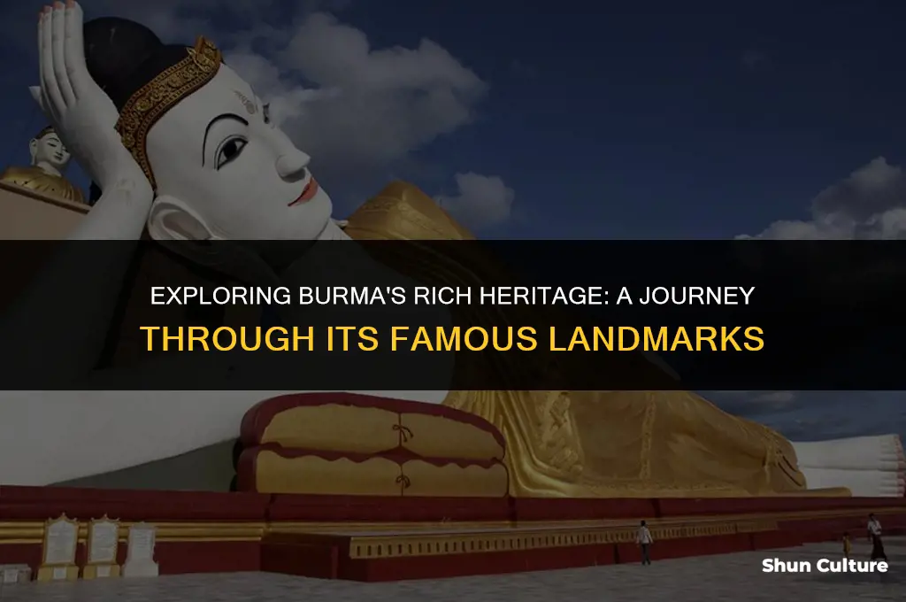 what is burma famous for