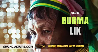 Exploring the Rich Culture and History of Burma