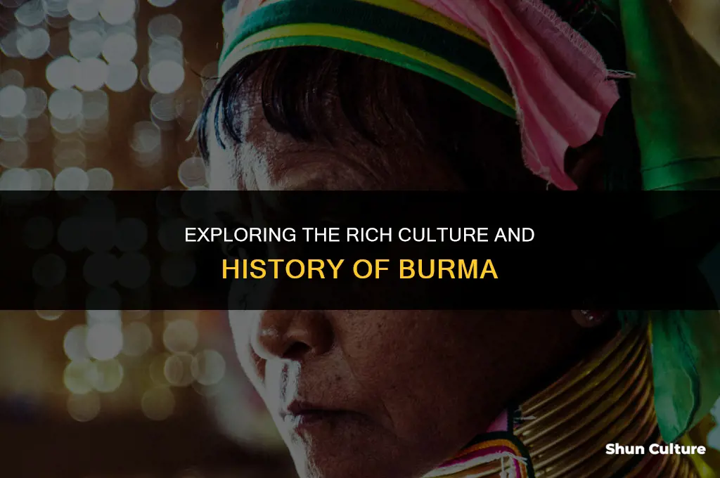 what is burma lik