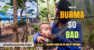 Unveiling the Complexities: Why Burma's Situation is Misunderstood