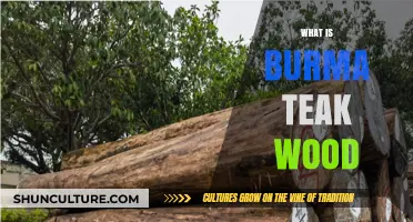 Exploring the Richness of Burma Teak Wood: A Comprehensive Guide