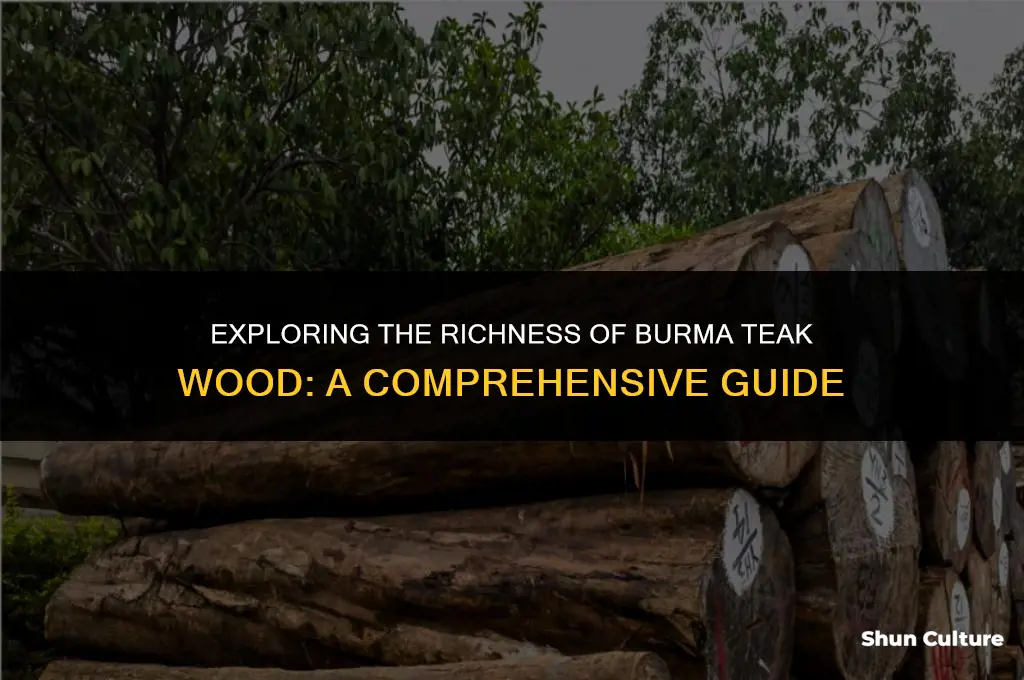 what is burma teak wood
